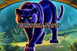 Panther Pays - RIVAL168