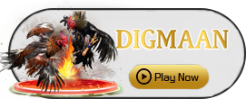 Digman - RIVAL168
