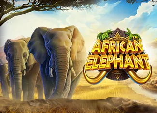 Pragmatic : African Elephant - RIVAL168